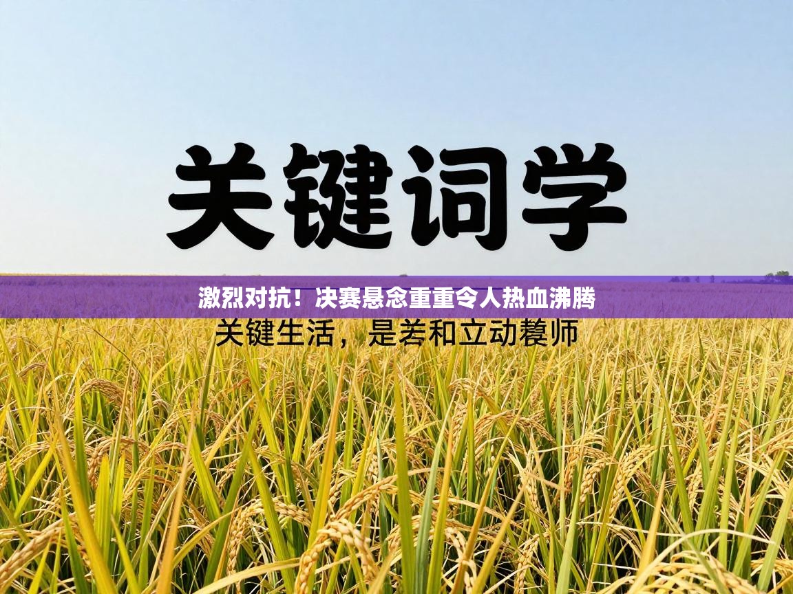 激烈对抗！决赛悬念重重令人热血沸腾  第1张