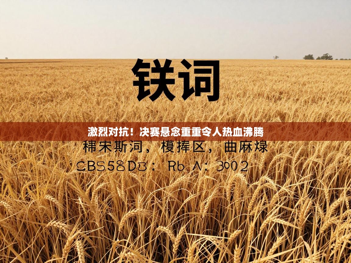 激烈对抗！决赛悬念重重令人热血沸腾  第2张